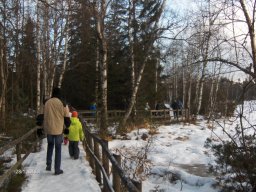 27.12.2008 Winterwanderung