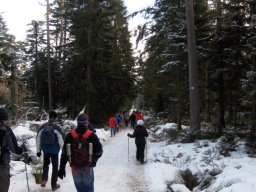 27.12.2008 Winterwanderung