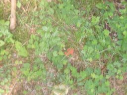 20100902Ferienprogramm