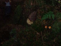 20100902Ferienprogramm