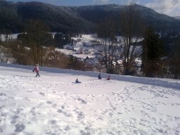 20110102Winterwanderung