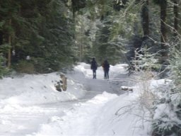 20110102Winterwanderung