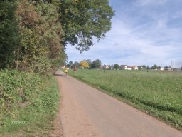 20130922Halbmarathon