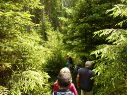 20160619WanderbaresNagoldtal