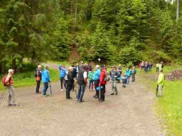 20160619WanderbaresNagoldtal