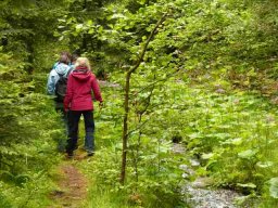 20160619WanderbaresNagoldtal